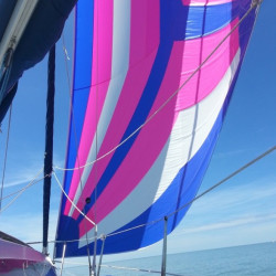 Code S corte triradial