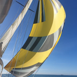 Symmetrischer Spinnaker Triradialschnitt