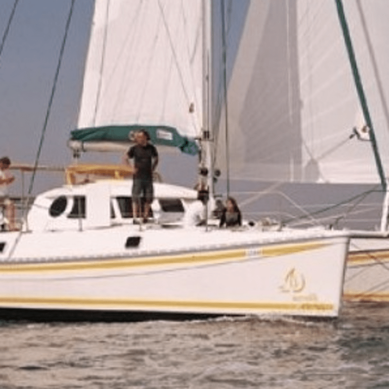 Netze - Outremer 42 (Paar)