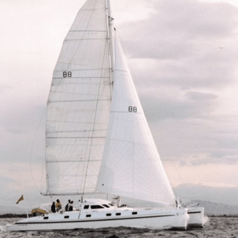 Netze - Outremer 55N (Paar)