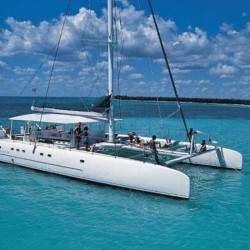 Netz - TAHITI 75